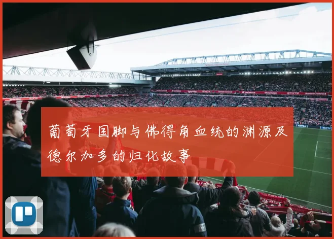 葡萄牙国脚与佛得角血统的渊源及德尔加多的归化故事