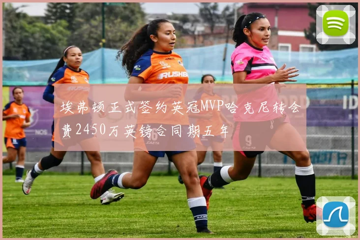 埃弗顿正式签约英冠MVP哈克尼转会费2450万英镑合同期五年